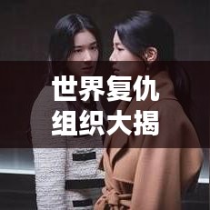 世界复仇组织大揭秘，暗流中的神秘力量排名榜单