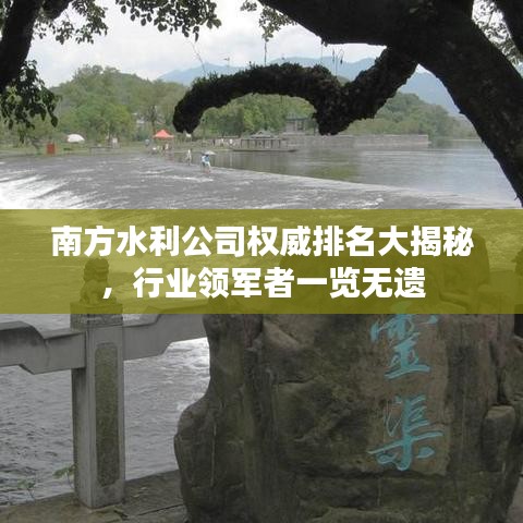 南方水利公司权威排名大揭秘，行业领军者一览无遗