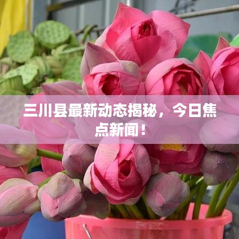 三川县最新动态揭秘，今日焦点新闻！