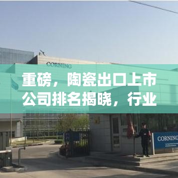 重磅，陶瓷出口上市公司排名揭晓，行业巨头究竟是谁？
