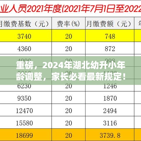 重磅，2024年湖北幼升小年龄调整，家长必看最新规定！