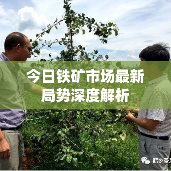 2025年6月26日 第5页