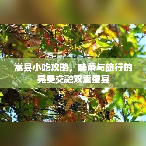 嵩县小吃攻略，味蕾与旅行的完美交融双重盛宴