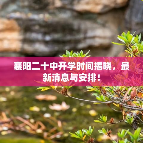 襄阳二十中开学时间揭晓，最新消息与安排！