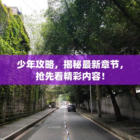 少年攻略，揭秘最新章节，抢先看精彩内容！