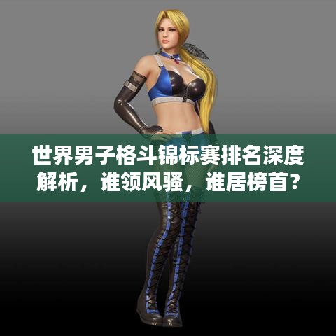 世界男子格斗锦标赛排名深度解析，谁领风骚，谁居榜首？