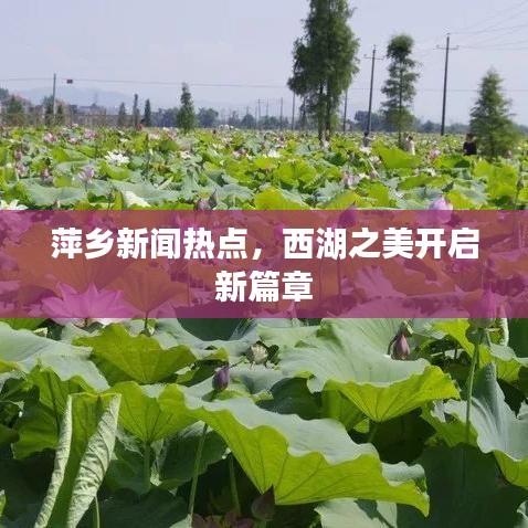 萍乡新闻热点，西湖之美开启新篇章