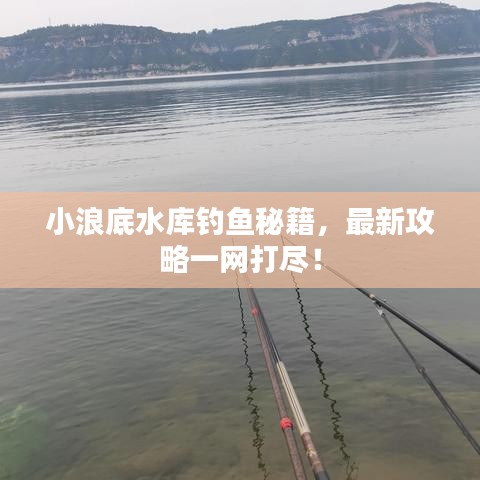 小浪底水库钓鱼秘籍，最新攻略一网打尽！