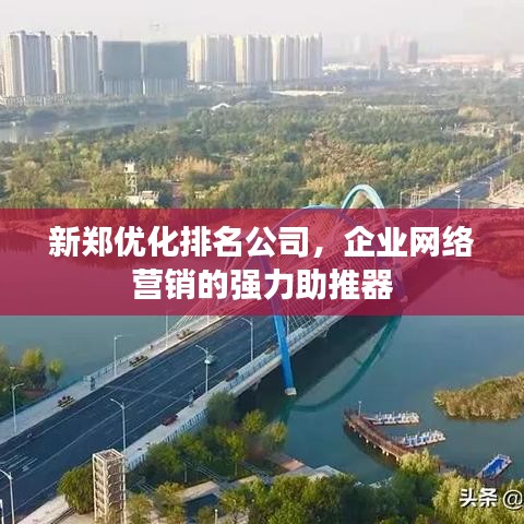 新郑优化排名公司，企业网络营销的强力助推器