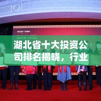湖北省十大投资公司排名揭晓，行业影响力深度解析