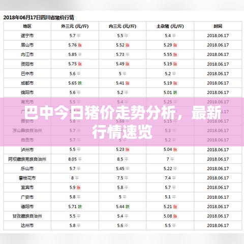 巴中今日猪价走势分析，最新行情速览