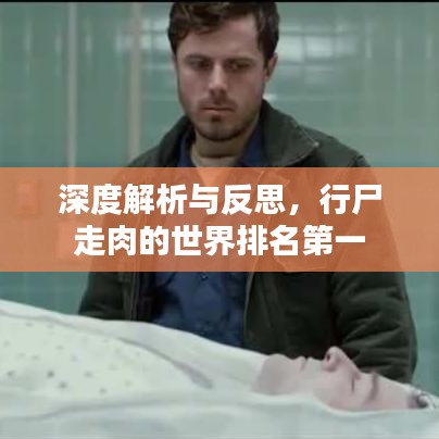 深度解析与反思，行尸走肉的世界排名第一