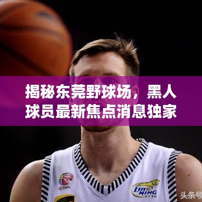 揭秘东莞野球场，黑人球员最新焦点消息独家披露