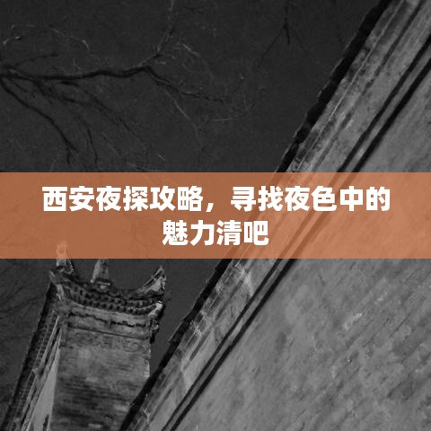西安夜探攻略，寻找夜色中的魅力清吧
