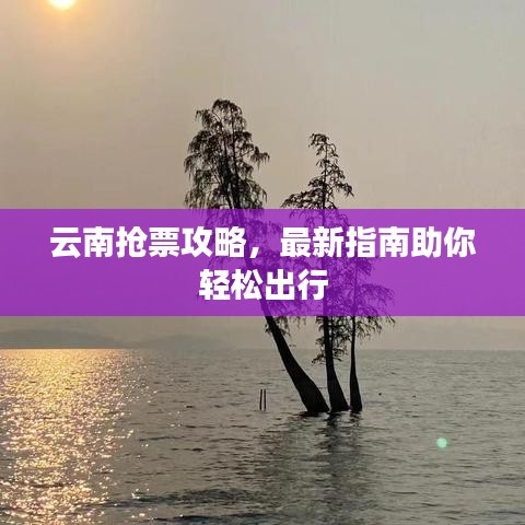 云南抢票攻略，最新指南助你轻松出行