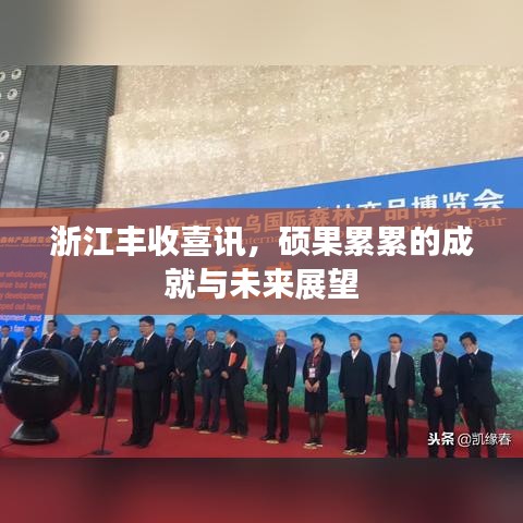 浙江丰收喜讯，硕果累累的成就与未来展望