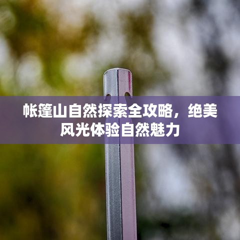帐篷山自然探索全攻略，绝美风光体验自然魅力