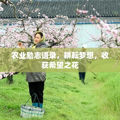 农业励志语录，耕耘梦想，收获希望之花
