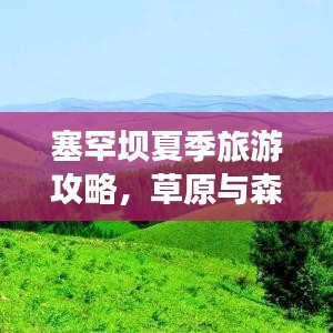 塞罕坝夏季旅游攻略，草原与森林的美丽邂逅