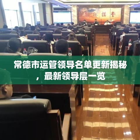 常德市运管领导名单更新揭秘，最新领导层一览