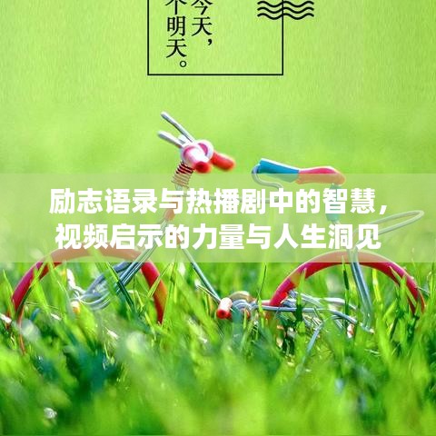 励志语录与热播剧中的智慧，视频启示的力量与人生洞见