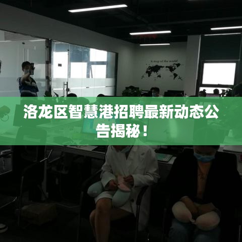 洛龙区智慧港招聘最新动态公告揭秘！