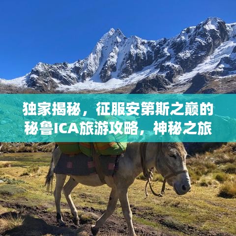 独家揭秘，征服安第斯之巅的秘鲁ICA旅游攻略，神秘之旅等你来开启！