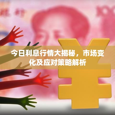 今日利息行情大揭秘，市场变化及应对策略解析