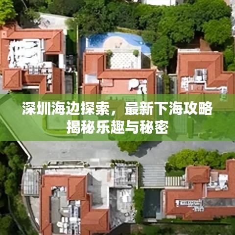 深圳海边探索，最新下海攻略揭秘乐趣与秘密