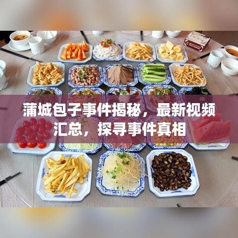 蒲城包子事件揭秘，最新视频汇总，探寻事件真相
