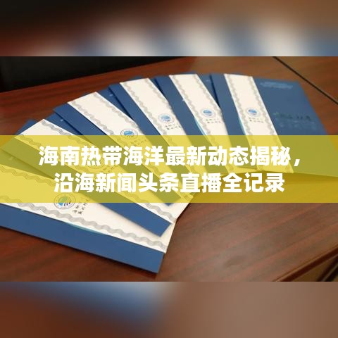 海南热带海洋最新动态揭秘，沿海新闻头条直播全记录