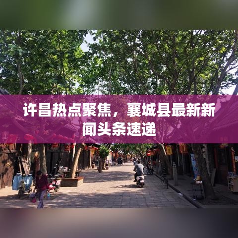 许昌热点聚焦，襄城县最新新闻头条速递