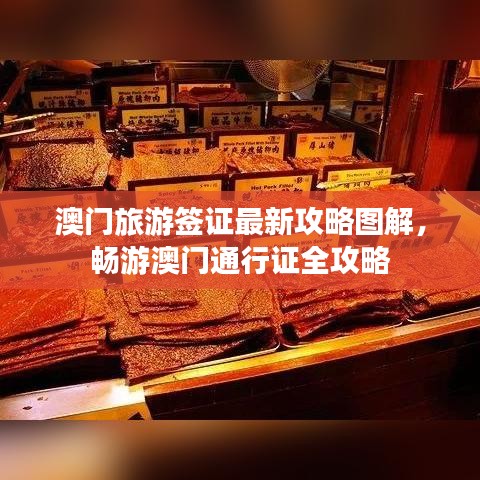 澳门旅游签证最新攻略图解，畅游澳门通行证全攻略