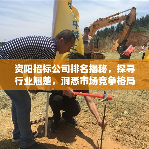 资阳招标公司排名揭秘，探寻行业翘楚，洞悉市场竞争格局