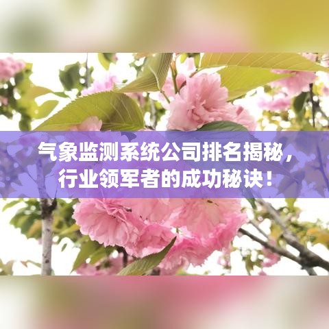 气象监测系统公司排名揭秘，行业领军者的成功秘诀！