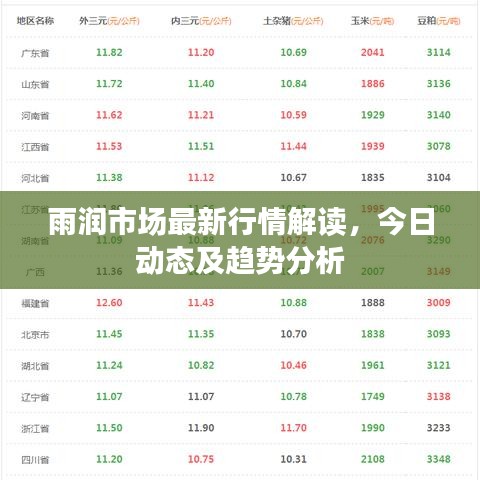 雨润市场最新行情解读，今日动态及趋势分析