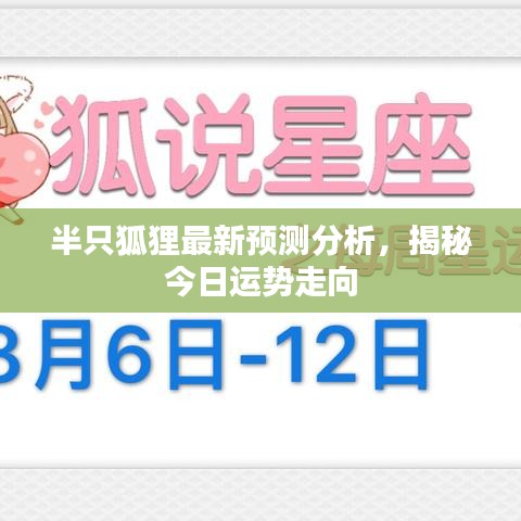 半只狐狸最新预测分析，揭秘今日运势走向