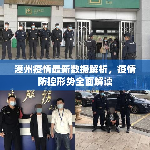 漳州疫情最新数据解析，疫情防控形势全面解读