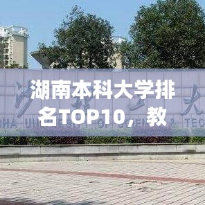 湖南本科大学排名TOP10，教育实力与特色优势深度解读