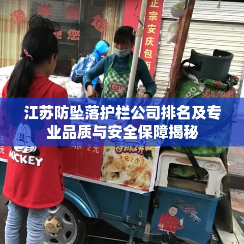 江苏防坠落护栏公司排名及专业品质与安全保障揭秘