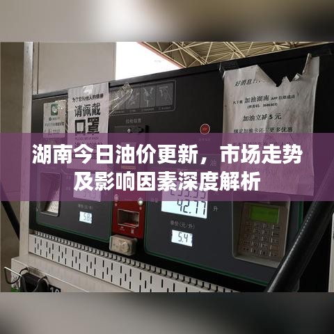 湖南今日油价更新，市场走势及影响因素深度解析