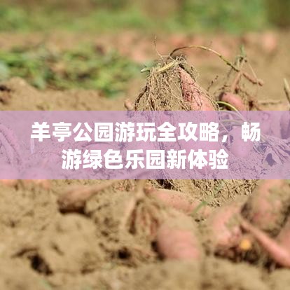 羊亭公园游玩全攻略，畅游绿色乐园新体验