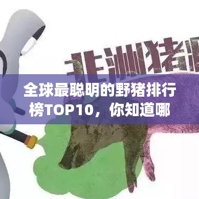 全球最聪明的野猪排行榜TOP10，你知道哪些上榜了吗？
