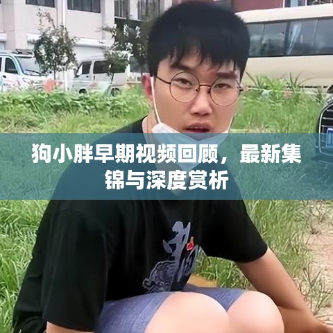 狗小胖早期视频回顾，最新集锦与深度赏析