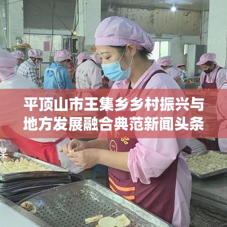 平顶山市王集乡乡村振兴与地方发展融合典范新闻头条