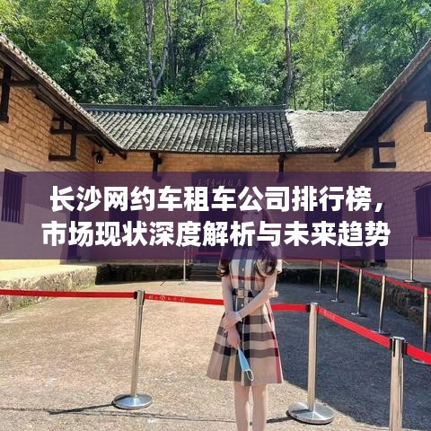 长沙网约车租车公司排行榜，市场现状深度解析与未来趋势预测