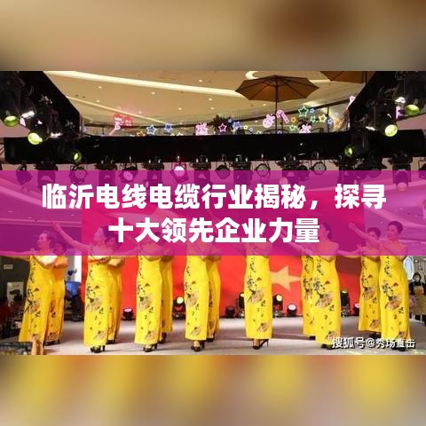 临沂电线电缆行业揭秘，探寻十大领先企业力量