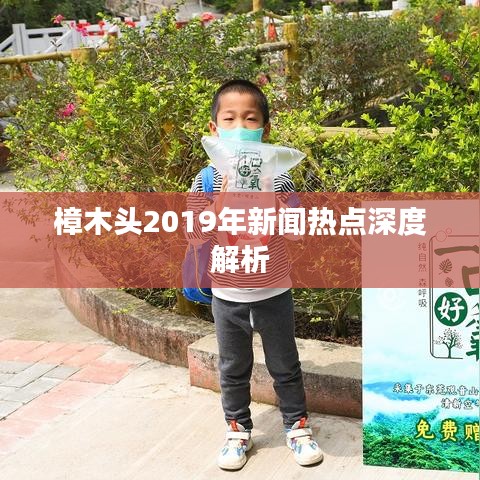 樟木头2019年新闻热点深度解析