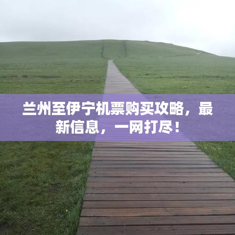 2025年6月30日 第42页