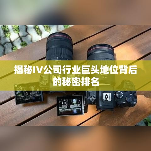 揭秘IV公司行业巨头地位背后的秘密排名